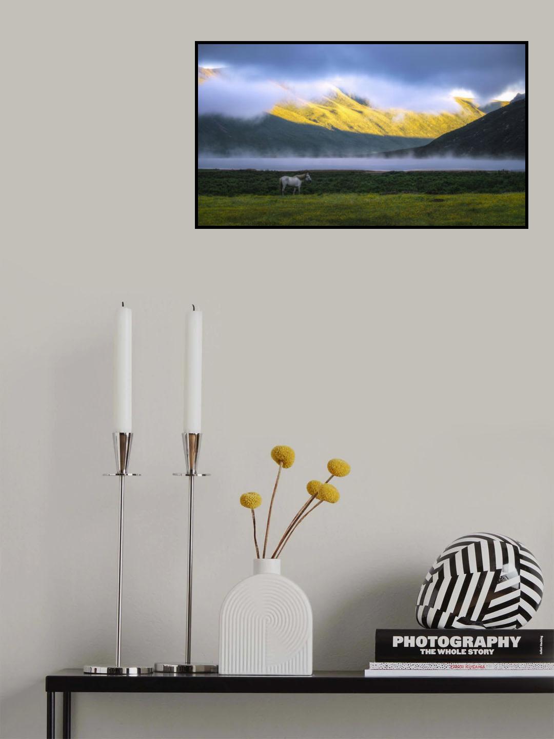 The morning of the lake Poster och Canvastavla