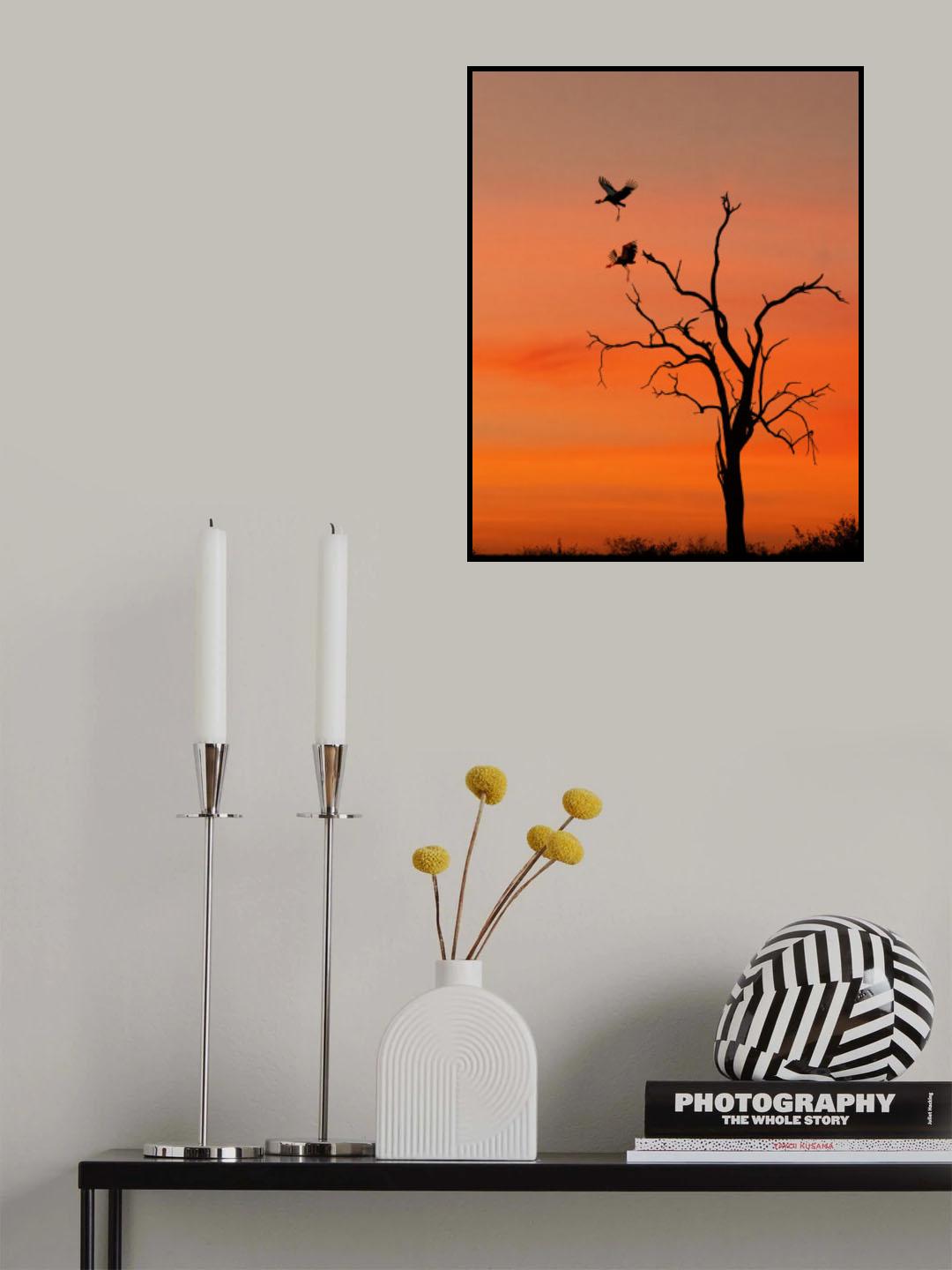 Before Sunrise Poster och Canvastavla