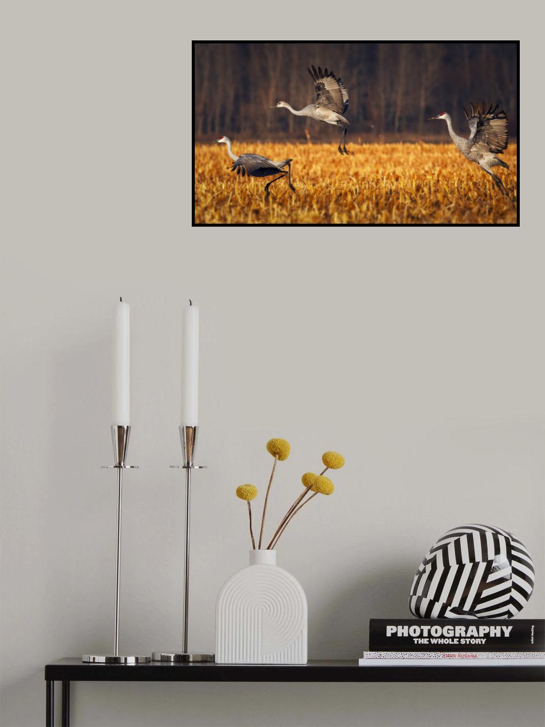 Taking off Poster och Canvastavla