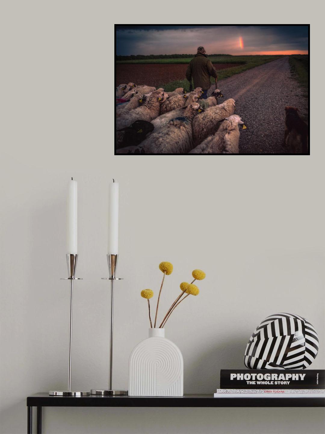 Back home Poster och Canvastavla