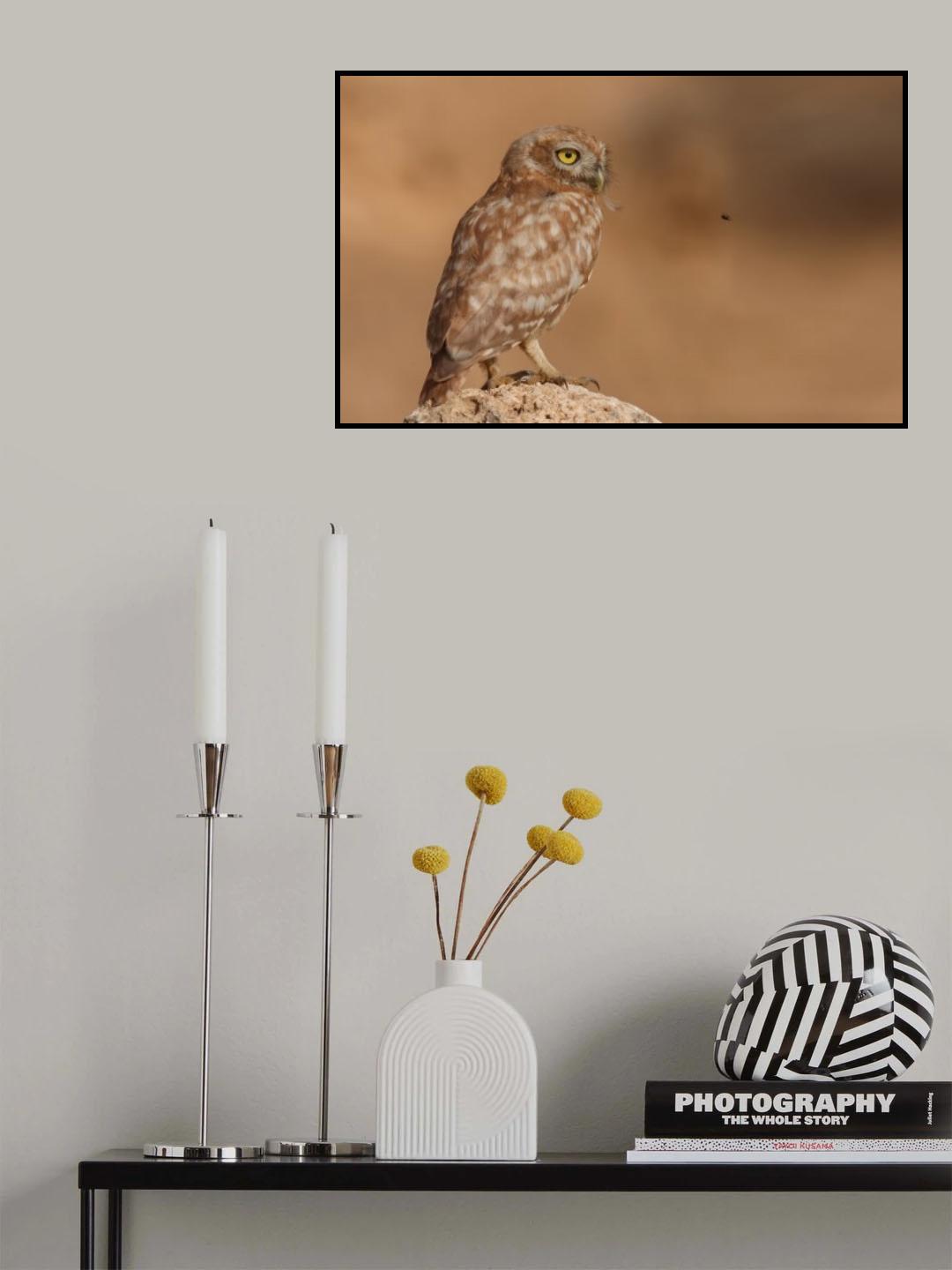 Owl Vs Bee Poster och Canvastavla