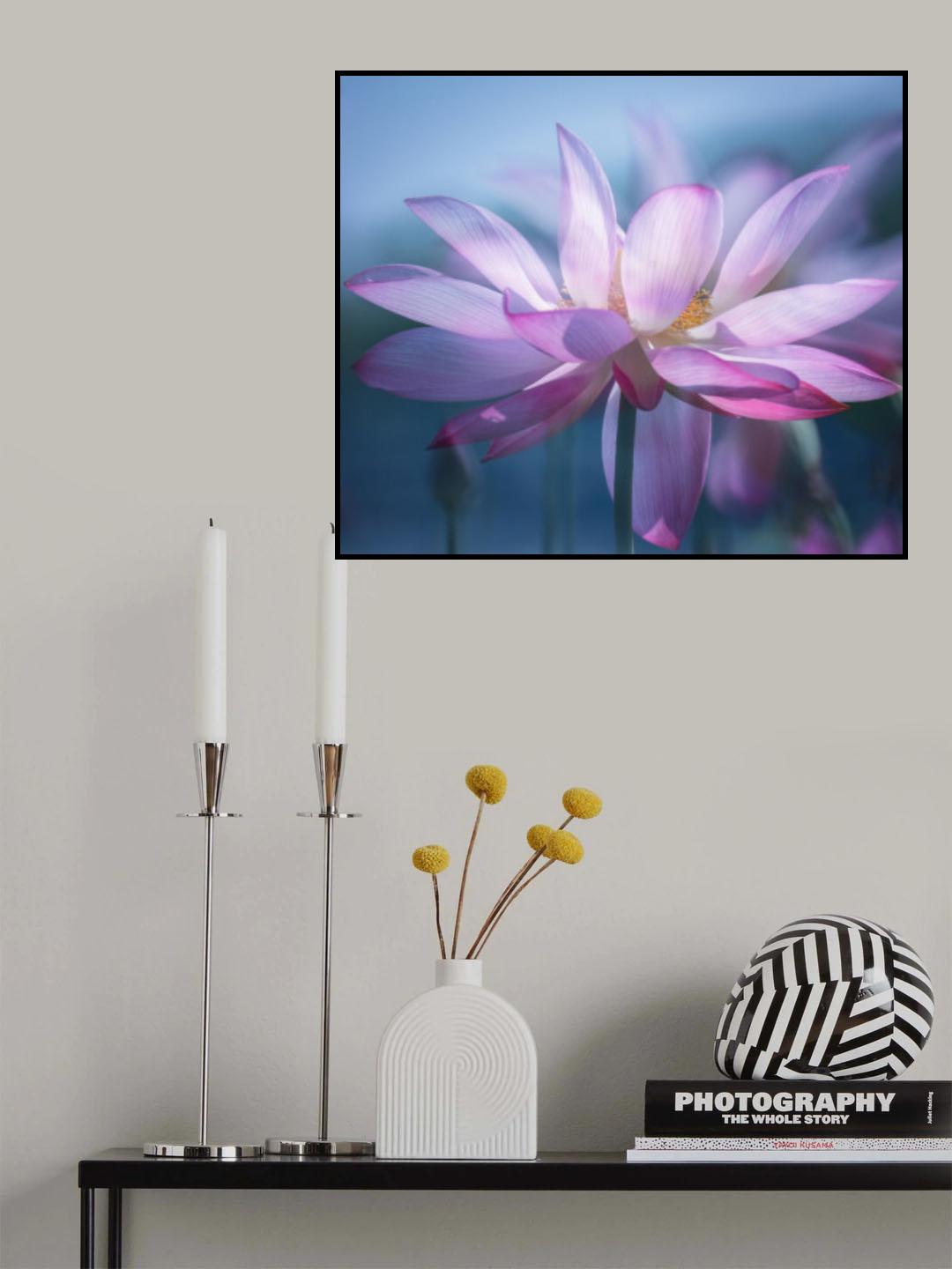 莲花1901 Poster och Canvastavla