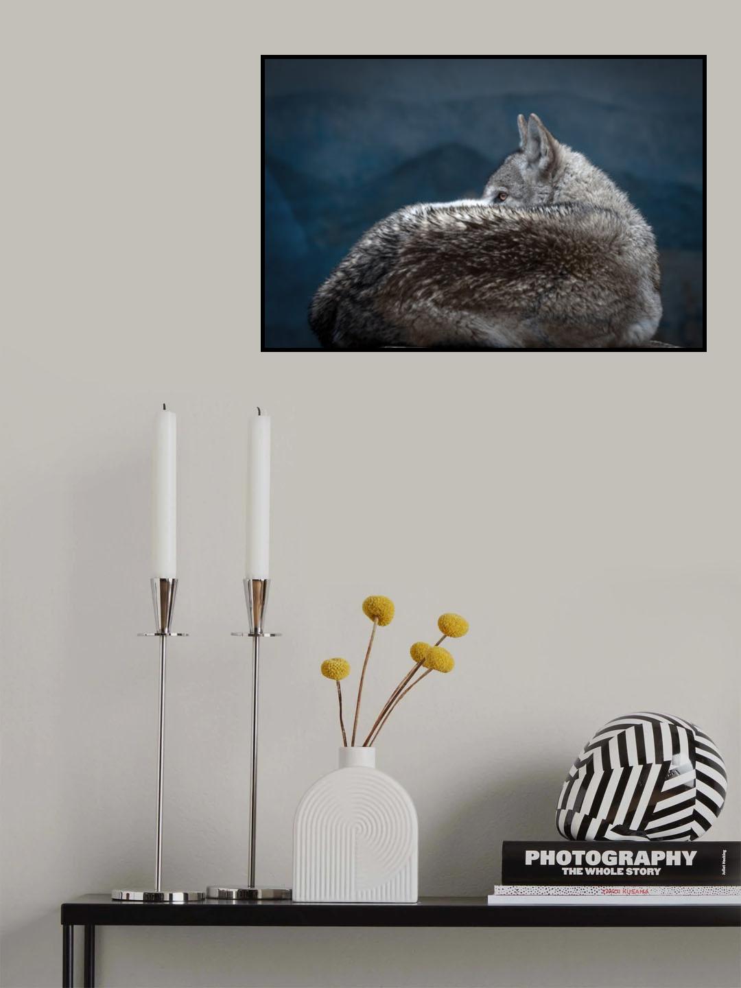 Rainy day eye Poster och Canvastavla