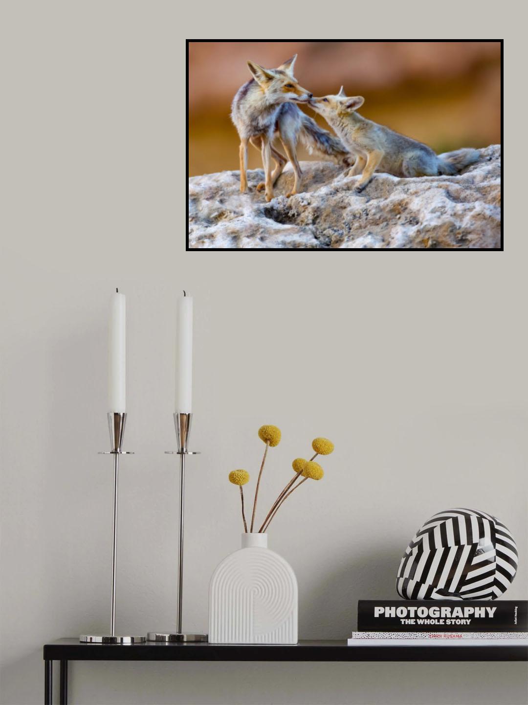Fox family Poster och Canvastavla