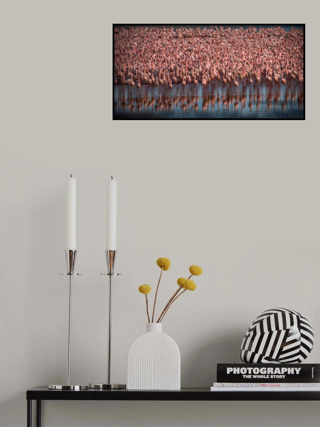 M A N Y Poster och Canvastavla