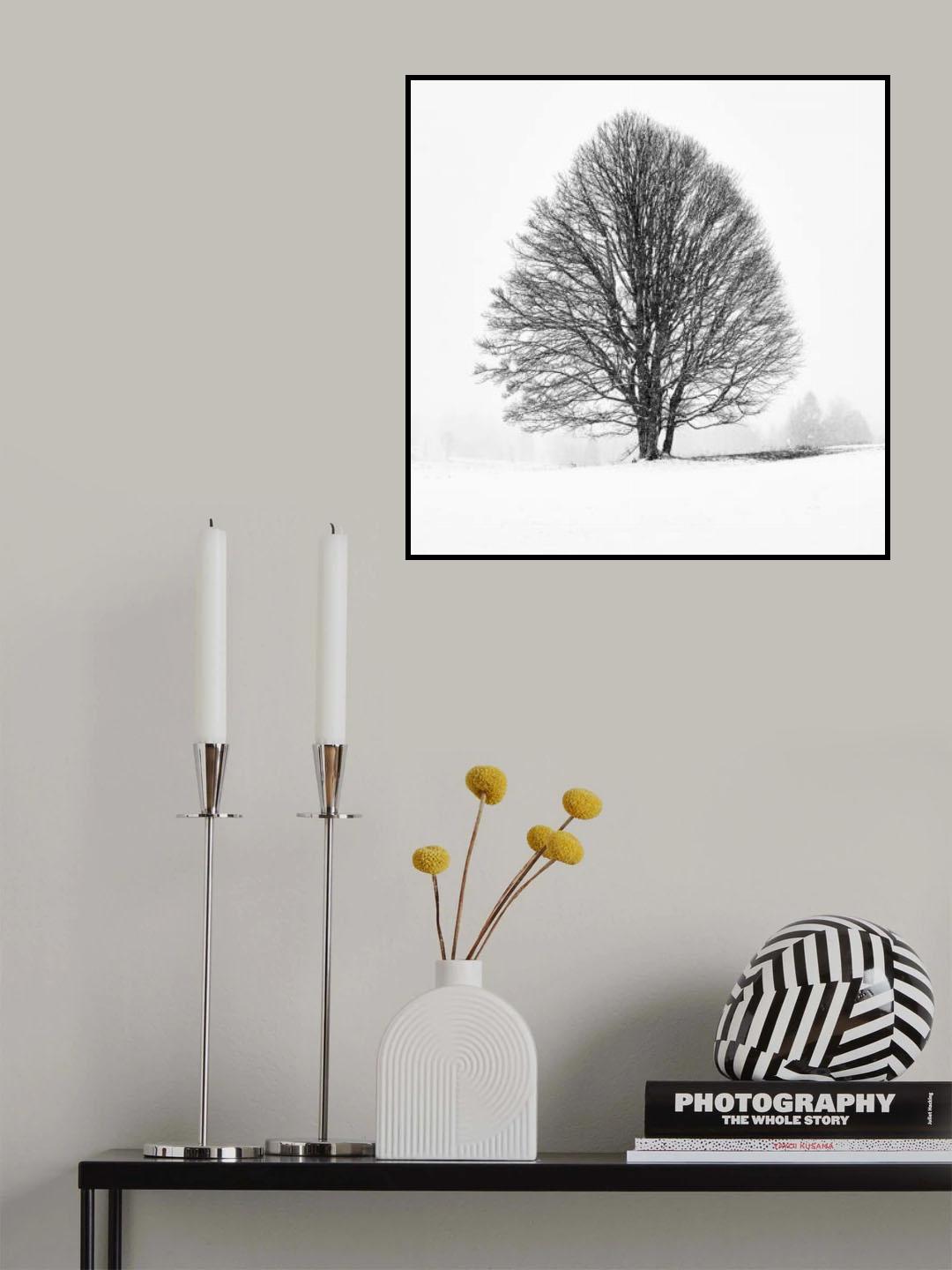 LONELY TREE Poster och Canvastavla