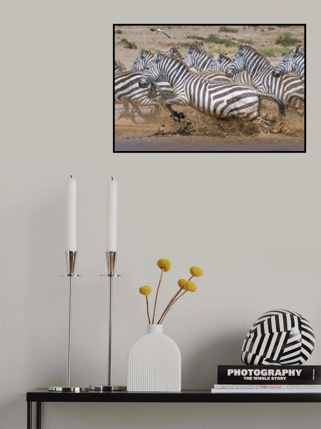 Dash for survival Poster och Canvastavla