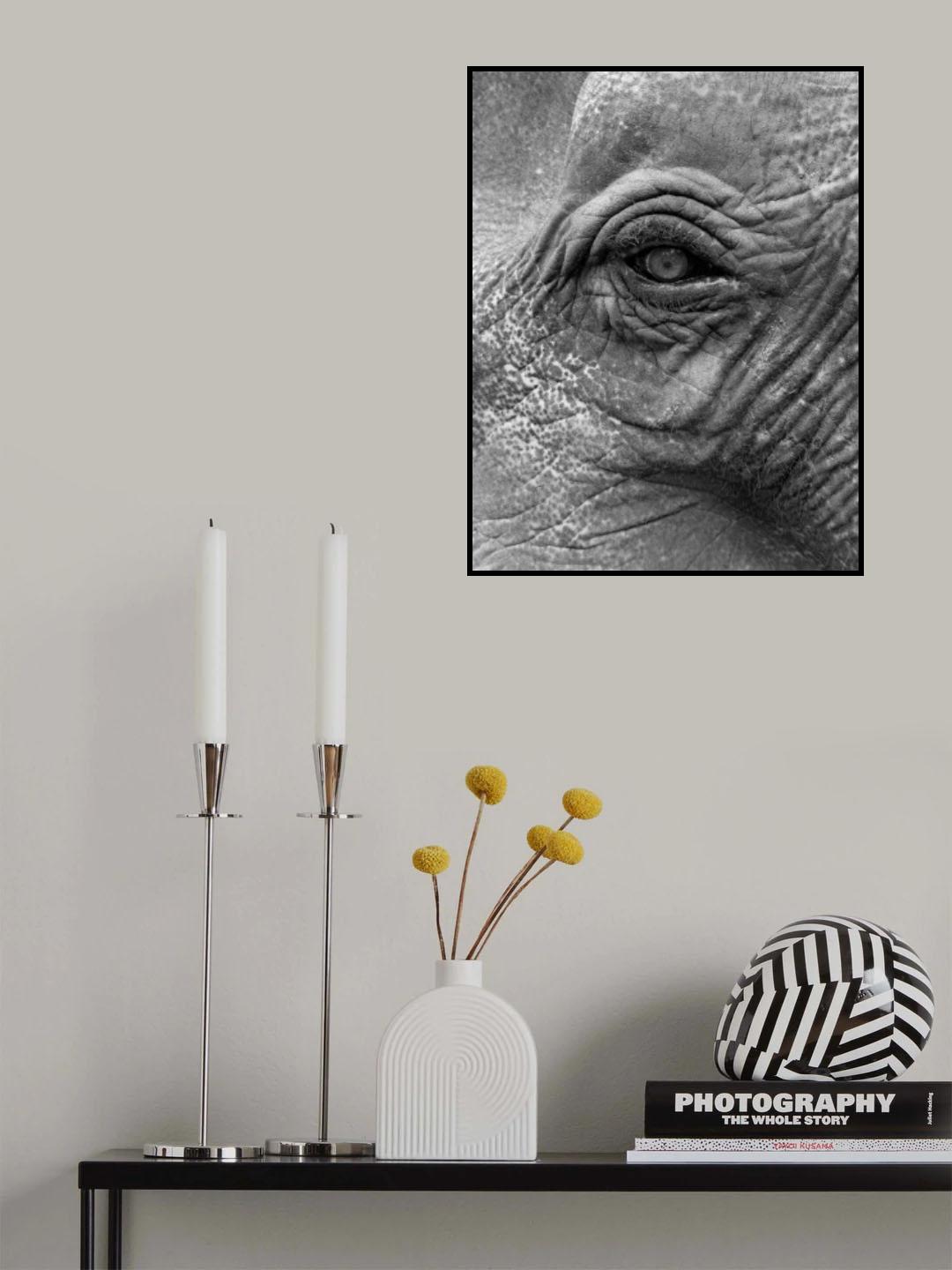 Elephant Poster och Canvastavla