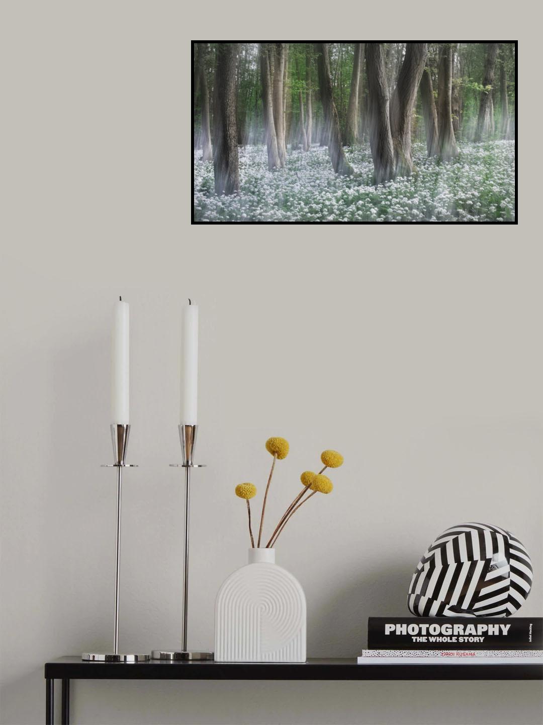 Wild garlic forest Poster och Canvastavla