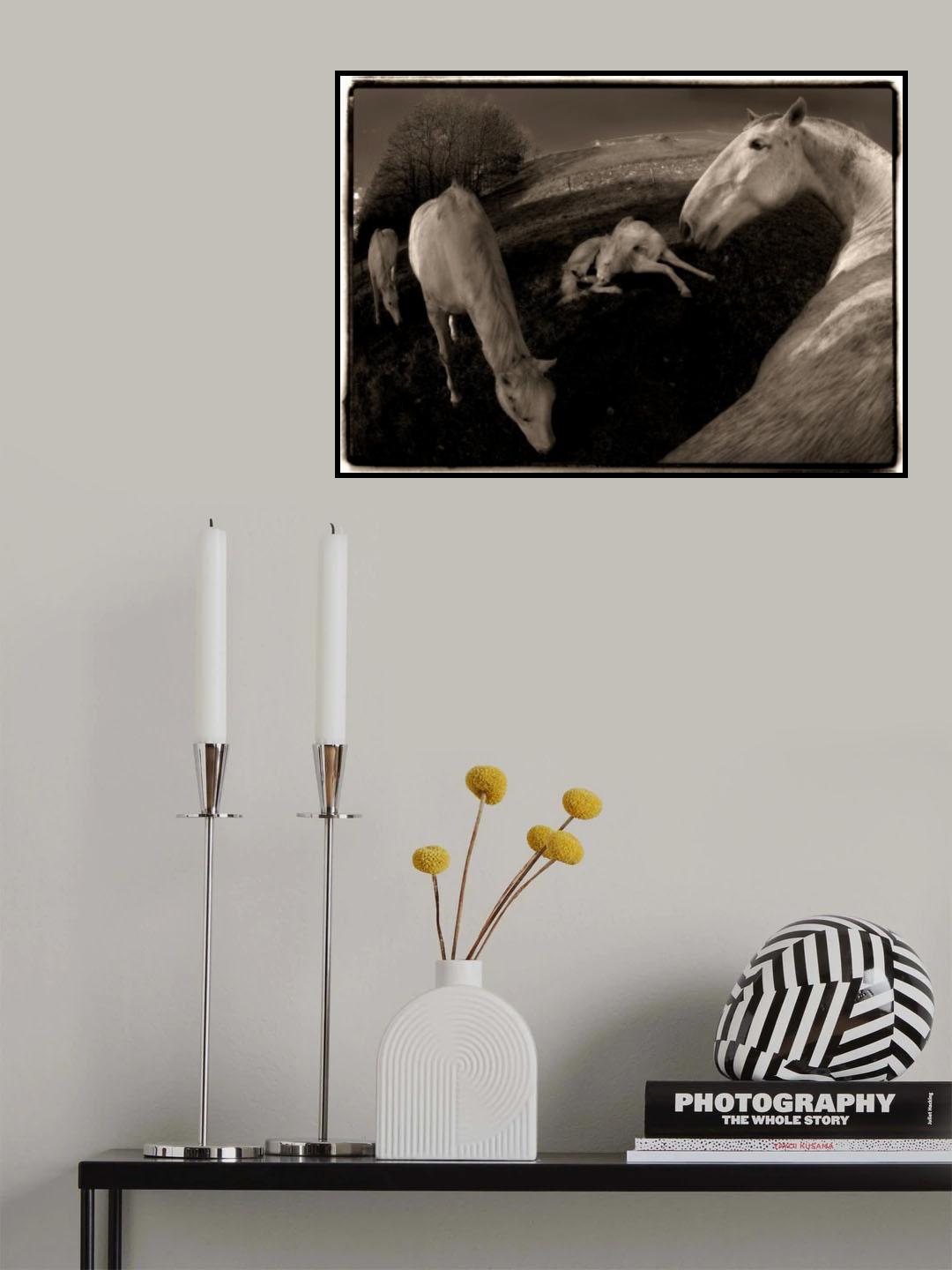 Barbana 2 Poster och Canvastavla