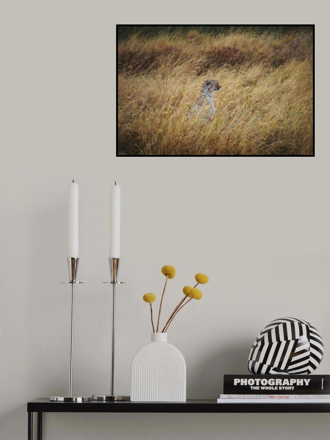 He is aiming at something. Poster och Canvastavla