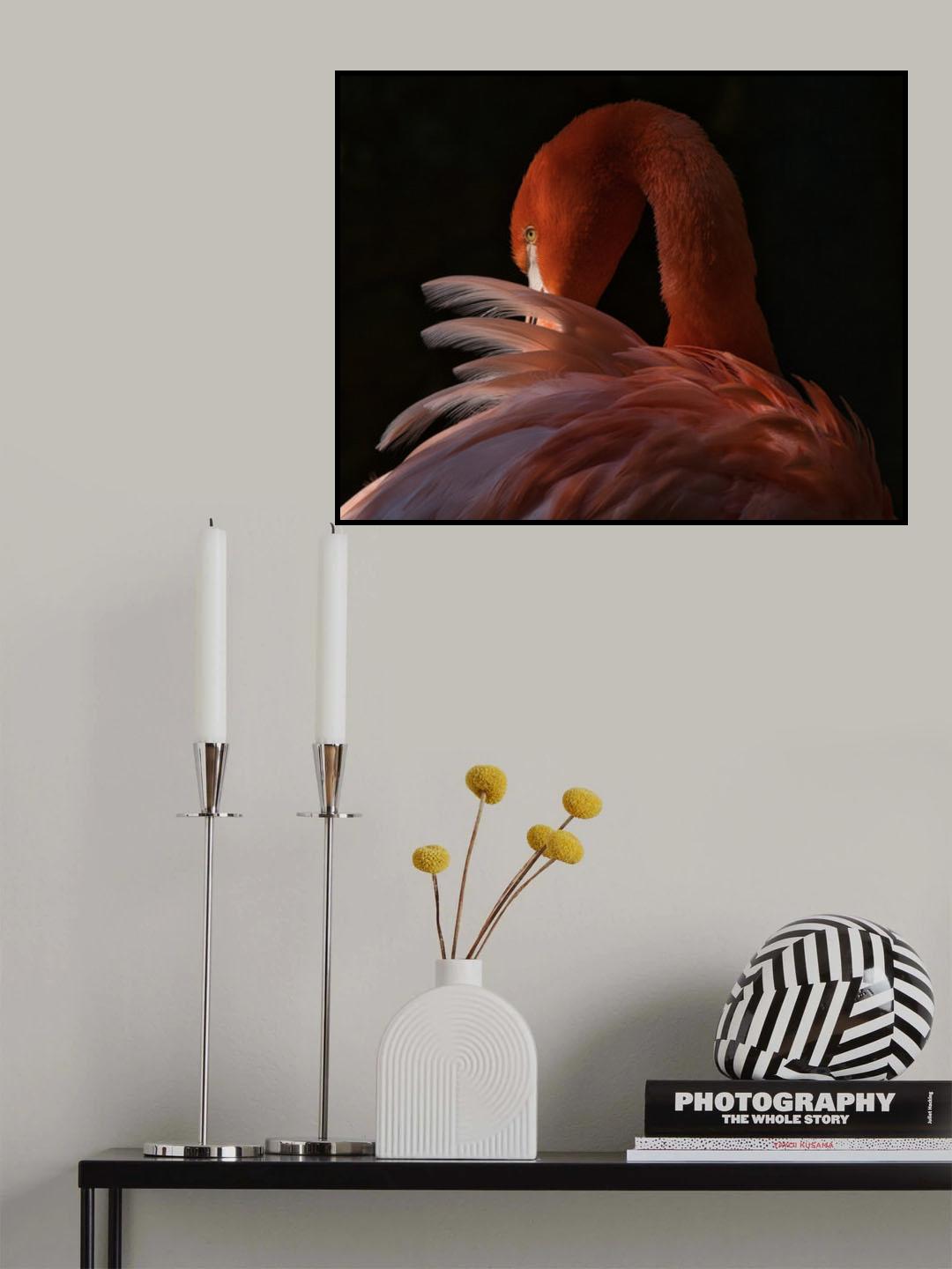 Feather repair Poster och Canvastavla