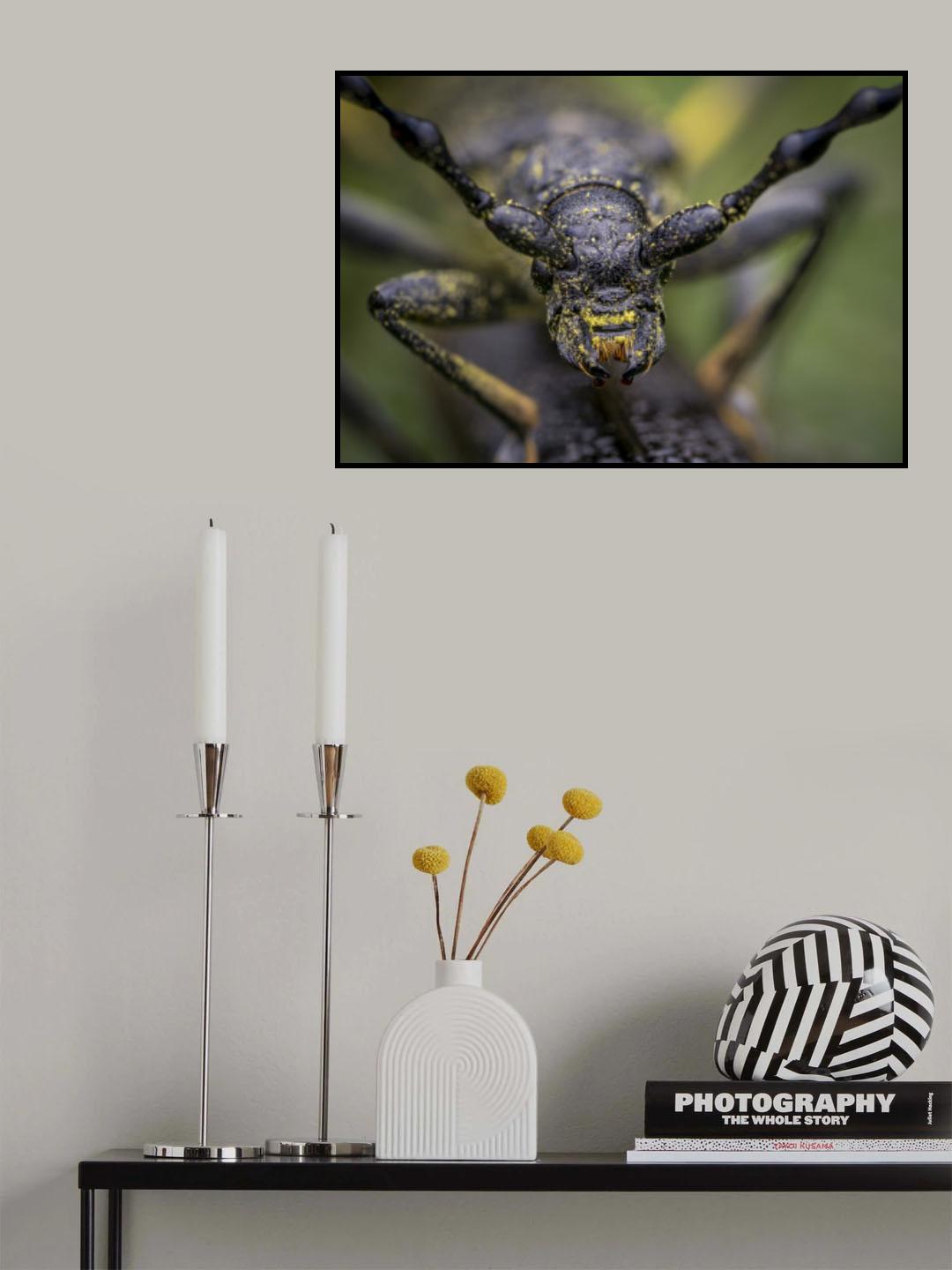 Black knight Poster och Canvastavla