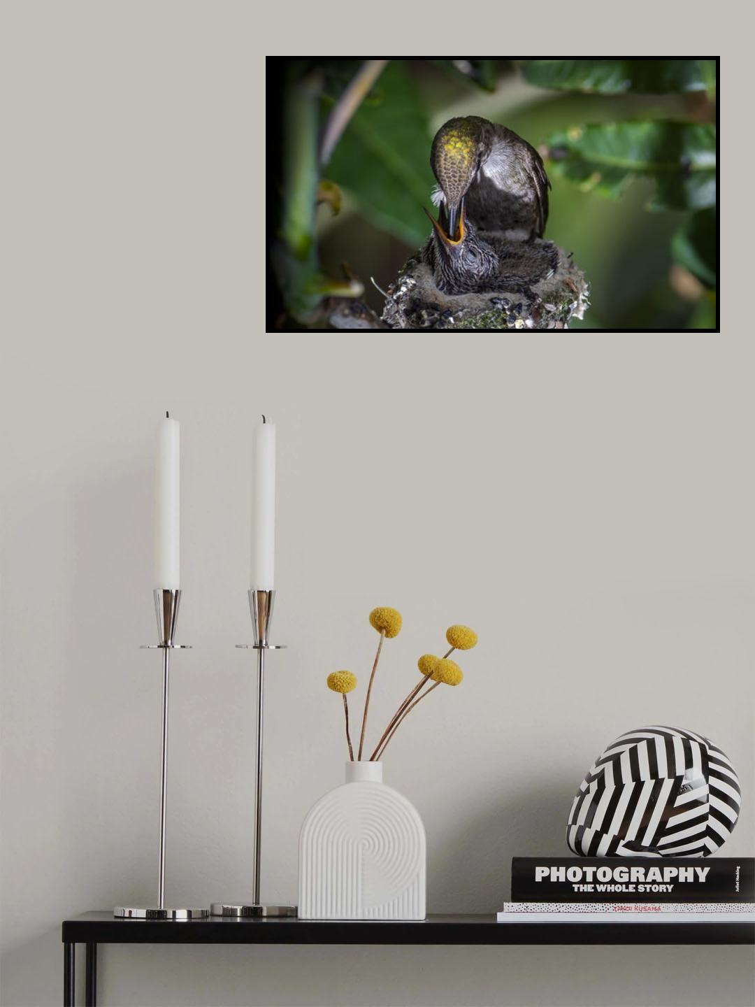 Feed me Poster och Canvastavla
