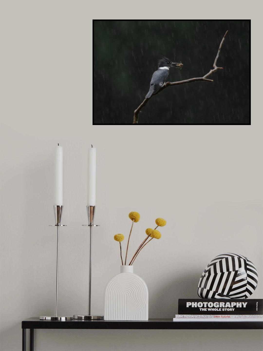 Waiting in the Rain Poster och Canvastavla