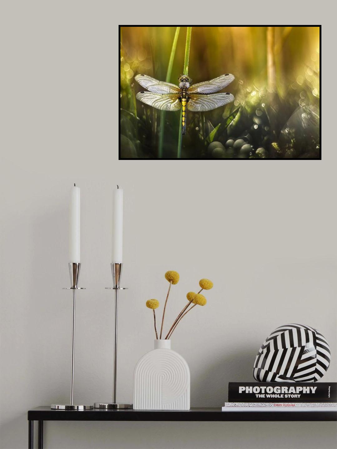 Wonder Poster och Canvastavla