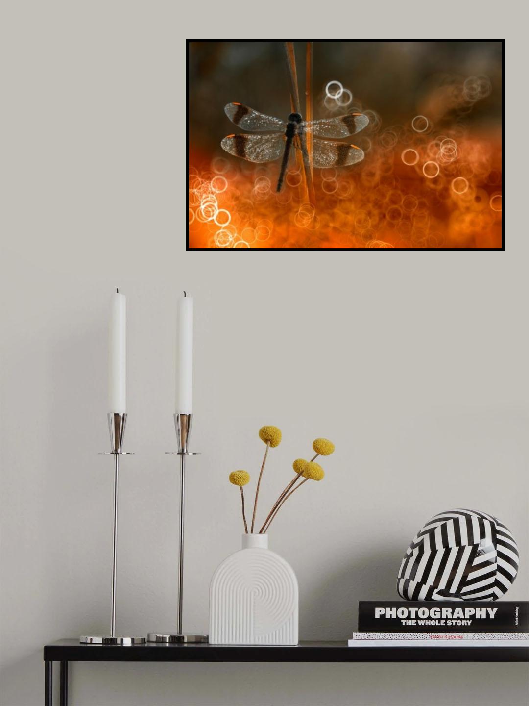 Fenix Poster och Canvastavla