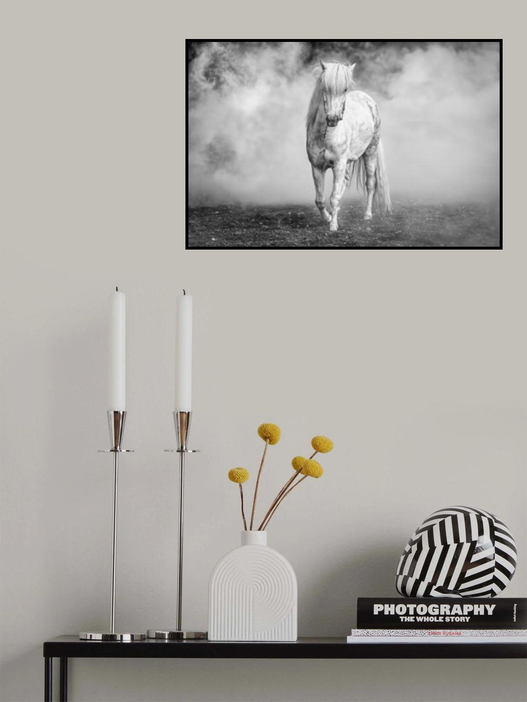 And there came a white horse Poster och Canvastavla