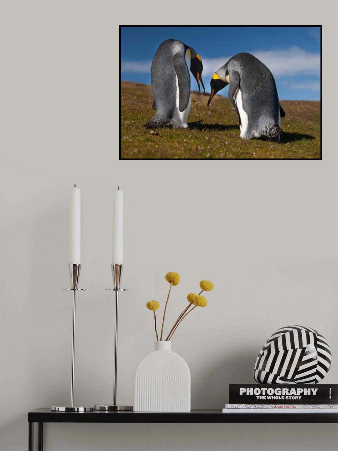 Penguins lovers Poster och Canvastavla