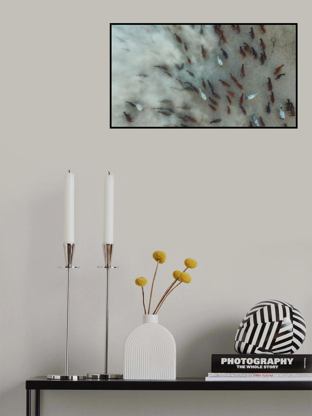 Horses like ants Poster och Canvastavla