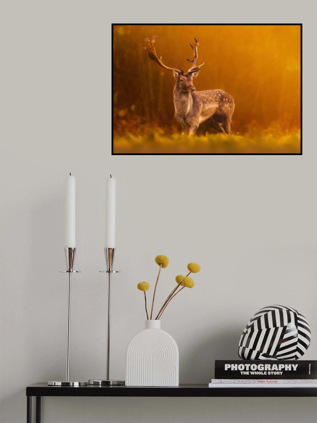 Golden hour Poster och Canvastavla