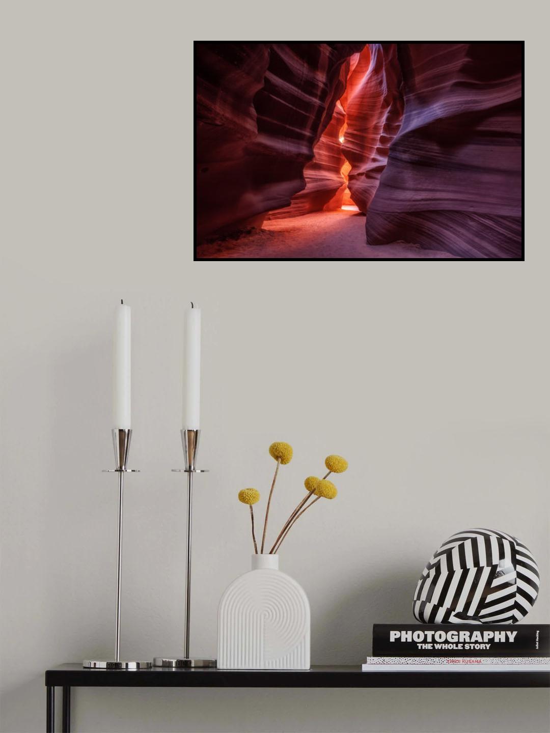 Antelope Poster och Canvastavla