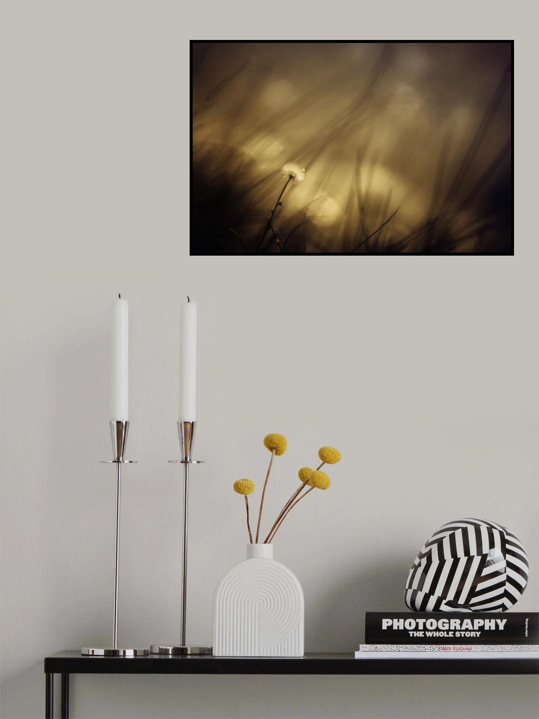 Song of dandelion Poster och Canvastavla