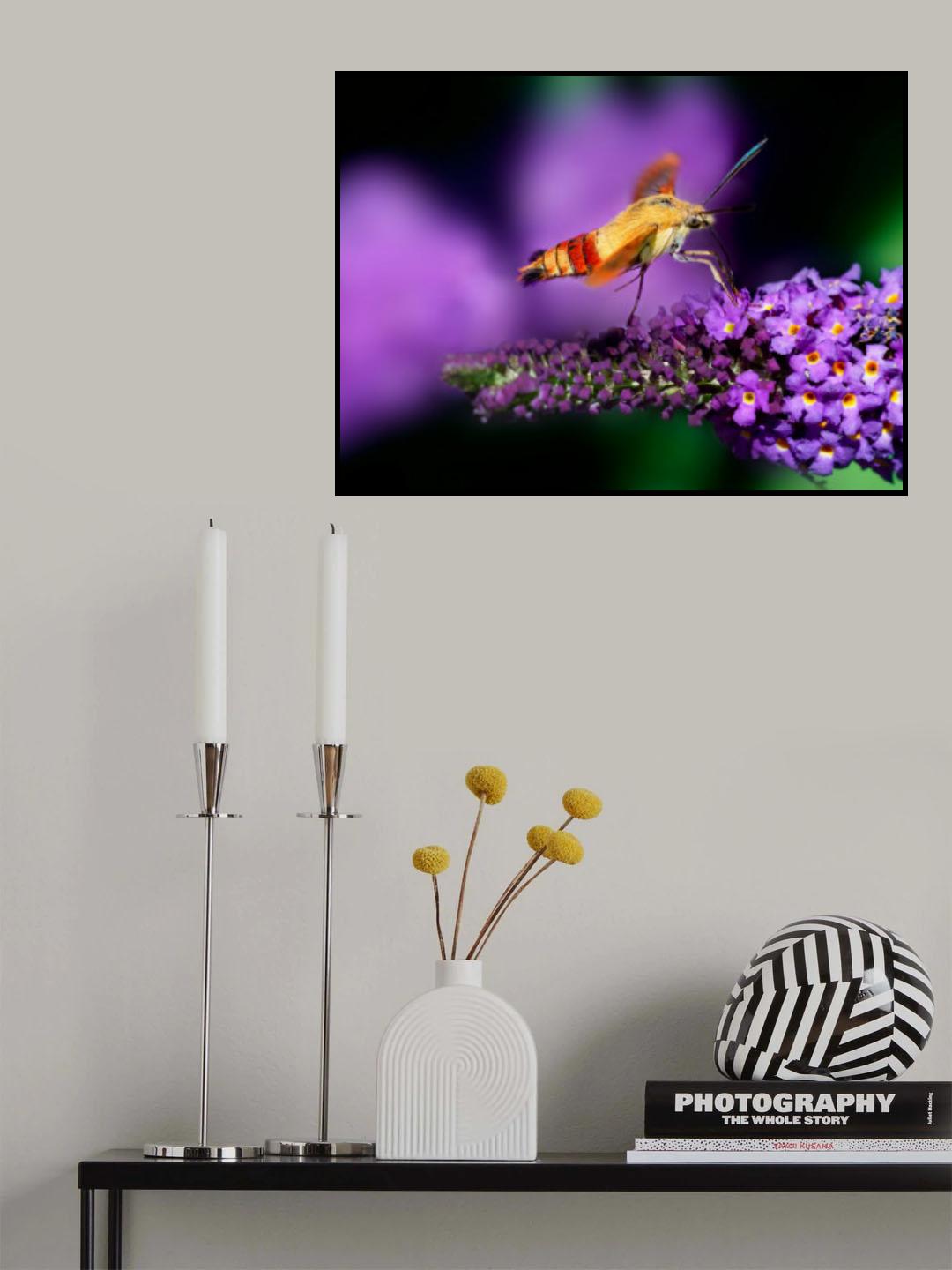 Focus Poster och Canvastavla