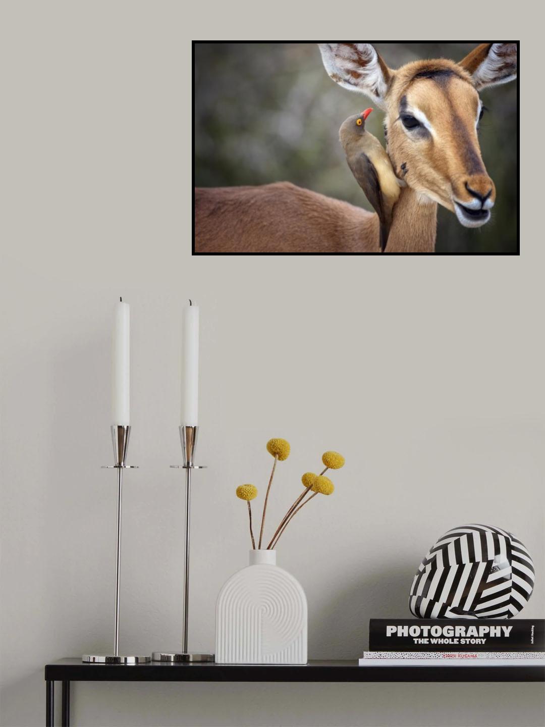 Symbiosis Poster och Canvastavla