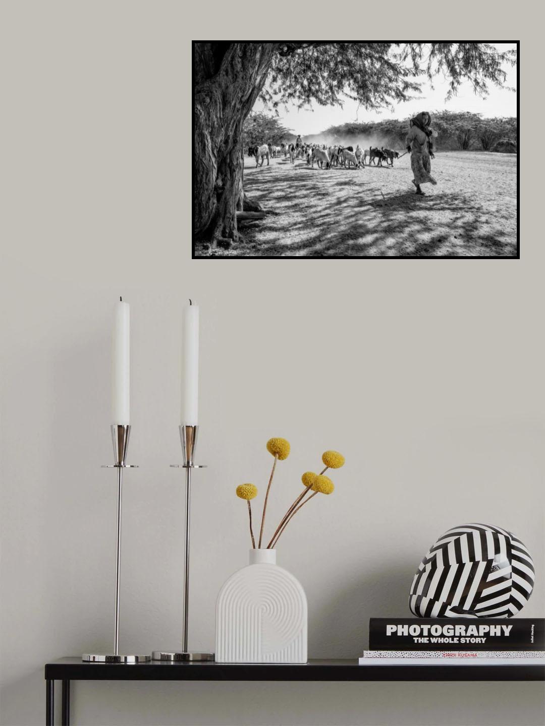 Sheppard Poster och Canvastavla