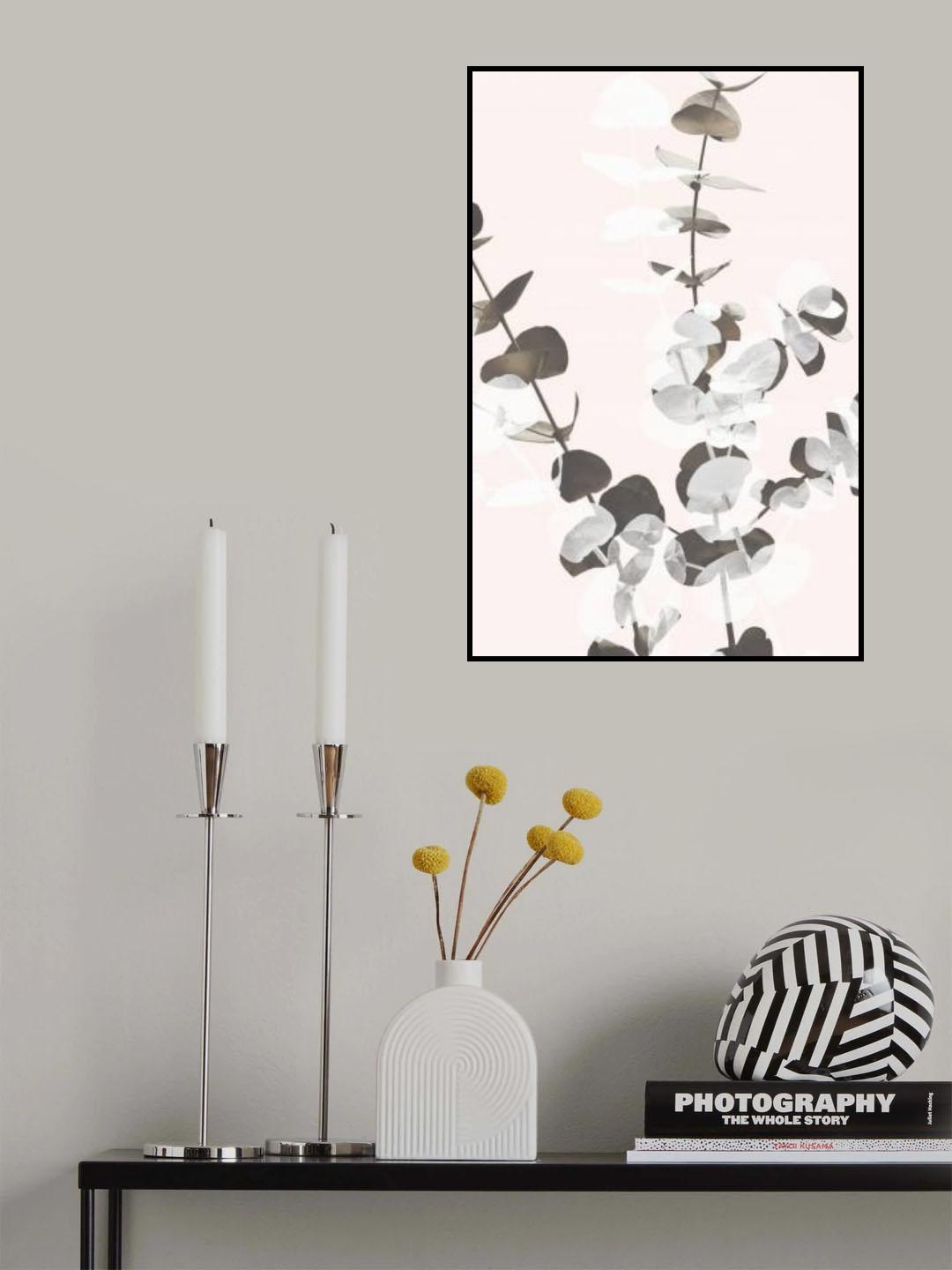 Eucalyptus Creative 12 Poster och Canvastavla