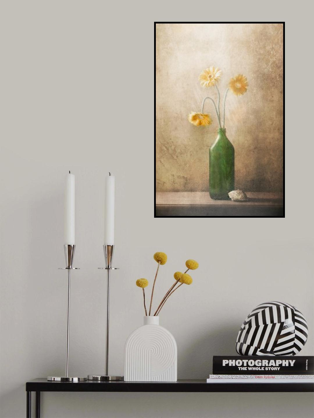 Daisies Poster och Canvastavla
