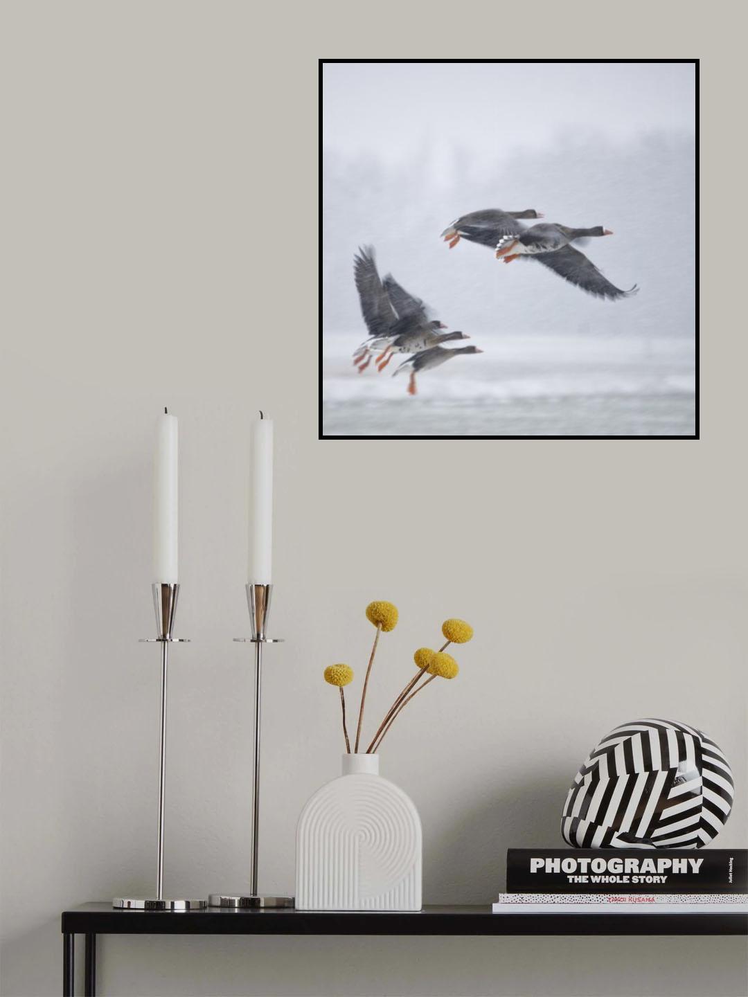 Take off! Poster och Canvastavla