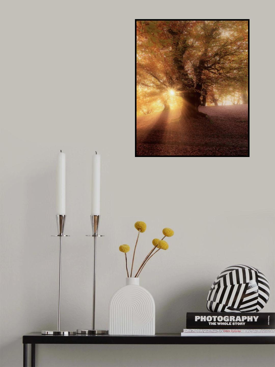 song of leaves Poster och Canvastavla