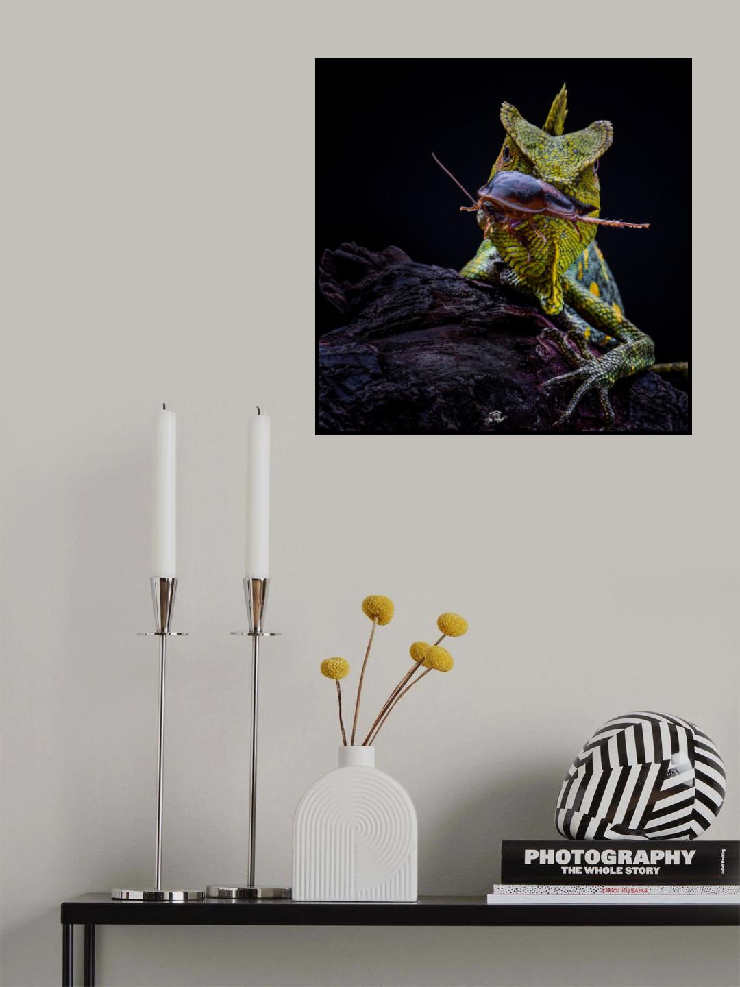 the forrest drafon and prey Poster och Canvastavla