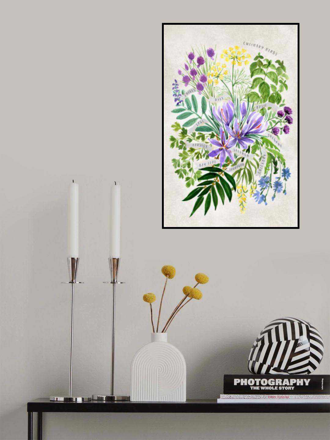 Culinary herbs in vintage gray Poster och Canvastavla