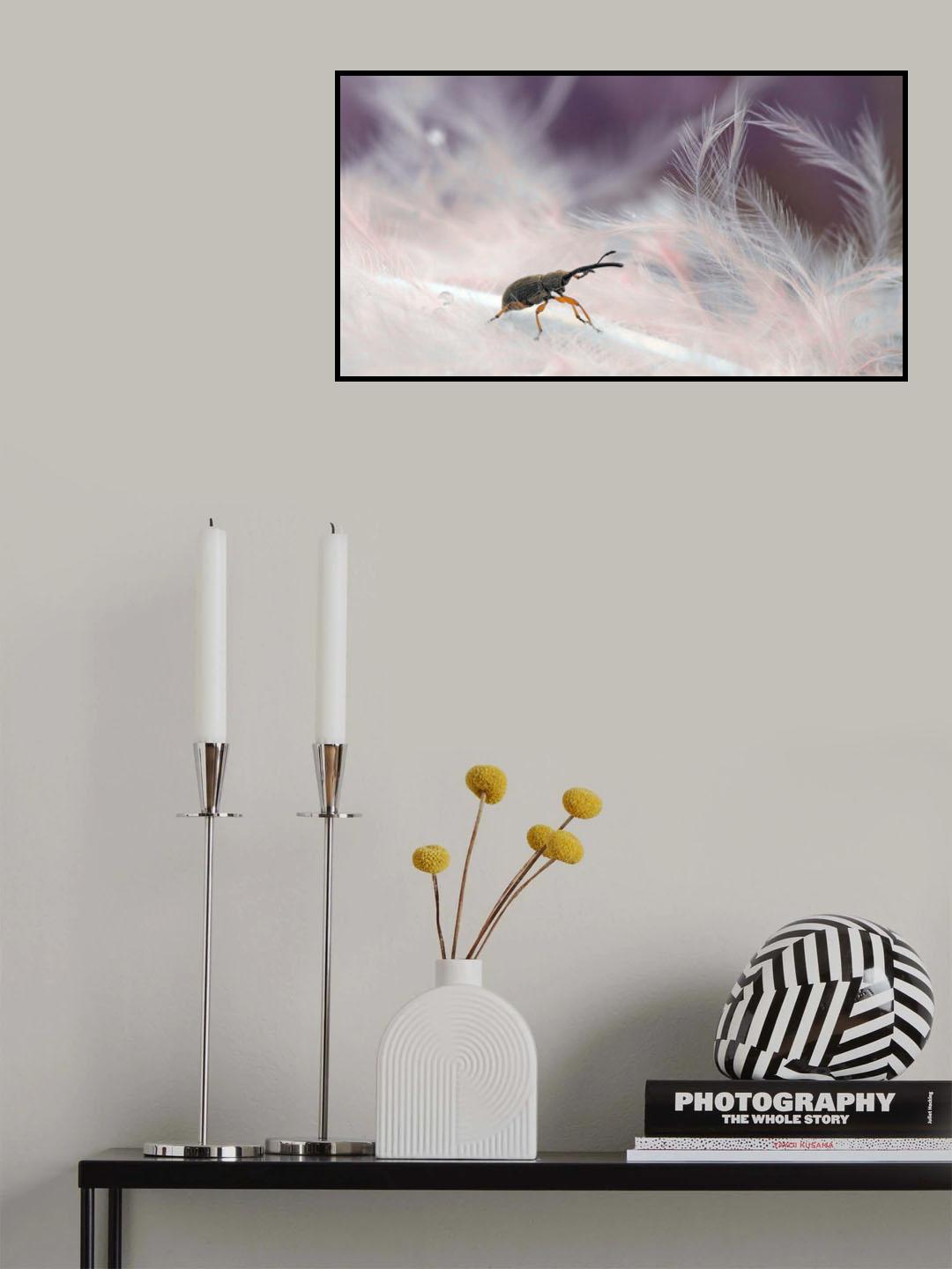 In the forest of feathers... Poster och Canvastavla