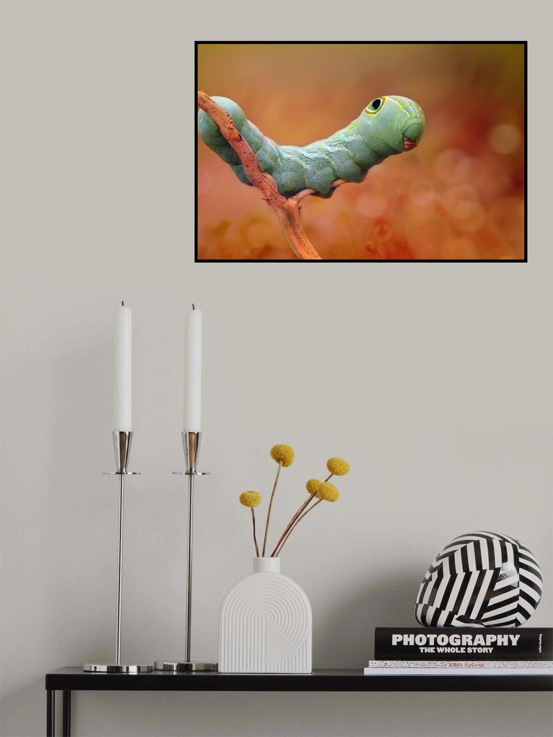 Funny Face Caterpillar Poster och Canvastavla
