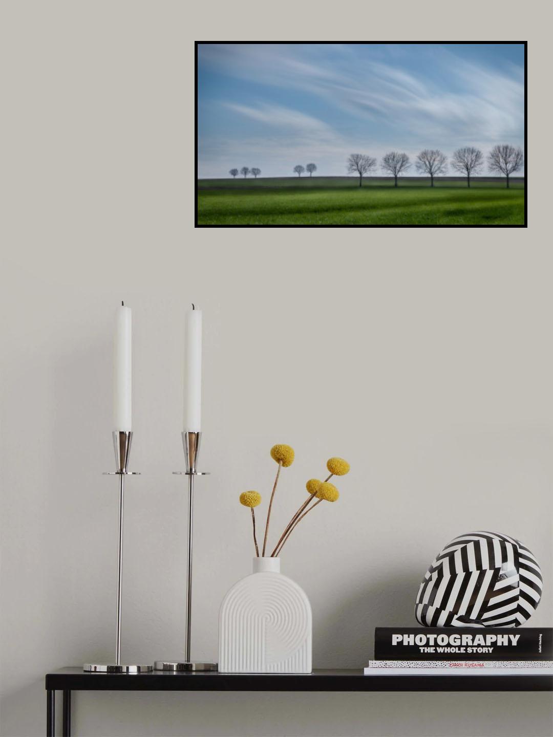 Tree lines Poster och Canvastavla