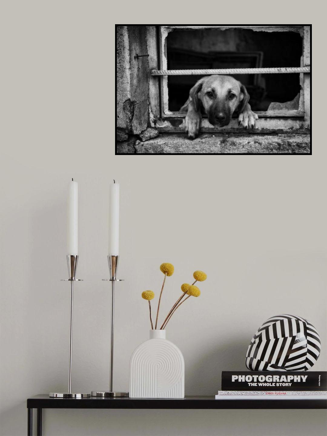 Aspiration for freedom Poster och Canvastavla