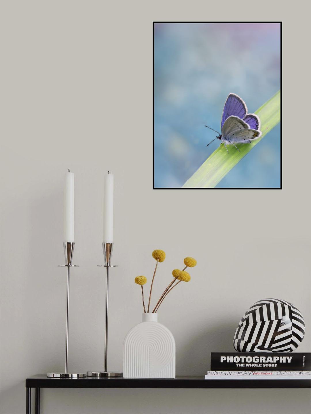 Cupido Poster och Canvastavla