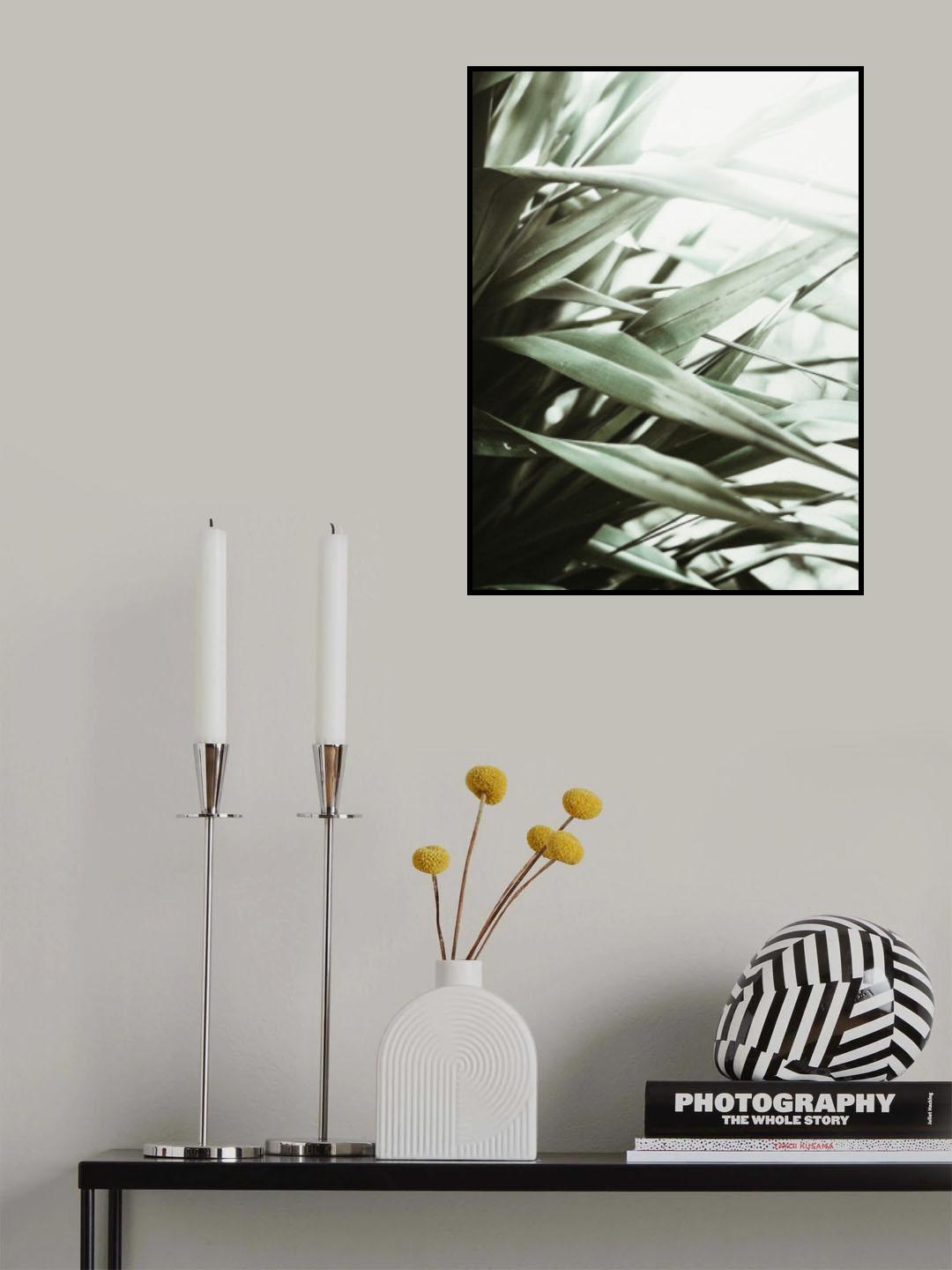 Phormium I Poster och Canvastavla