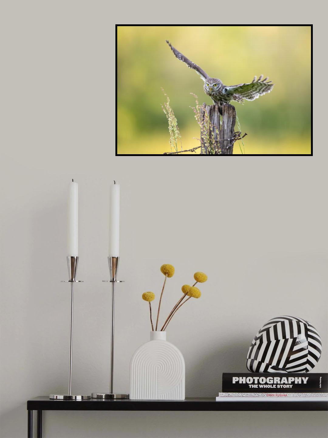 The equilibrist Poster och Canvastavla