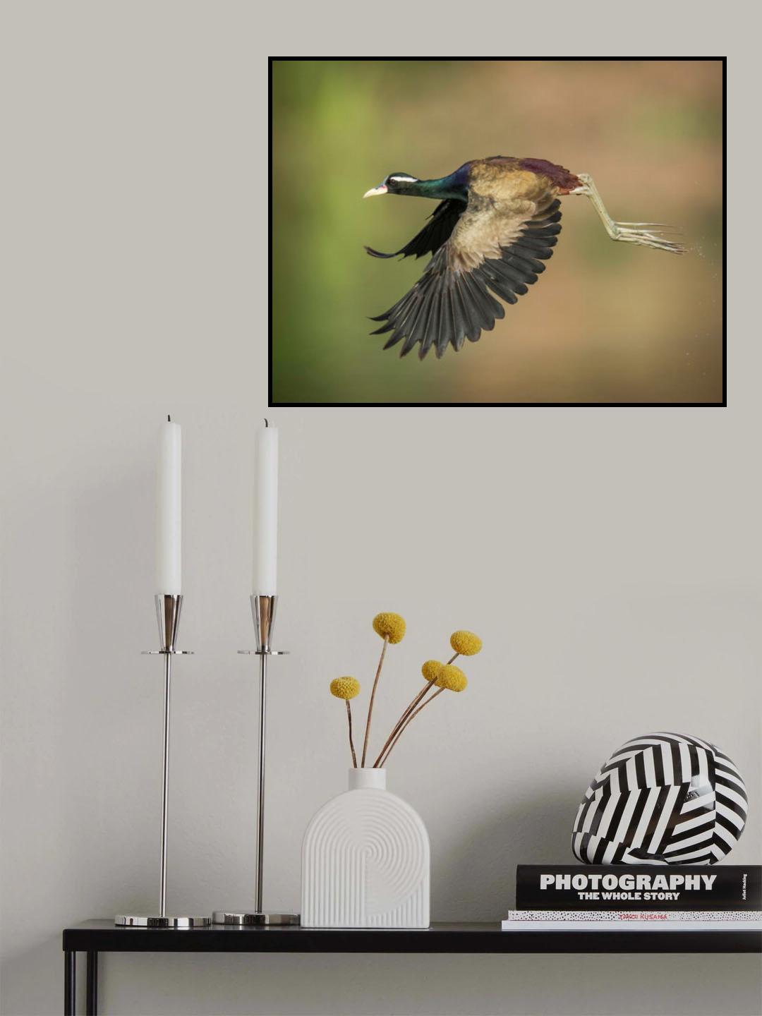 Poster och Canvastavla