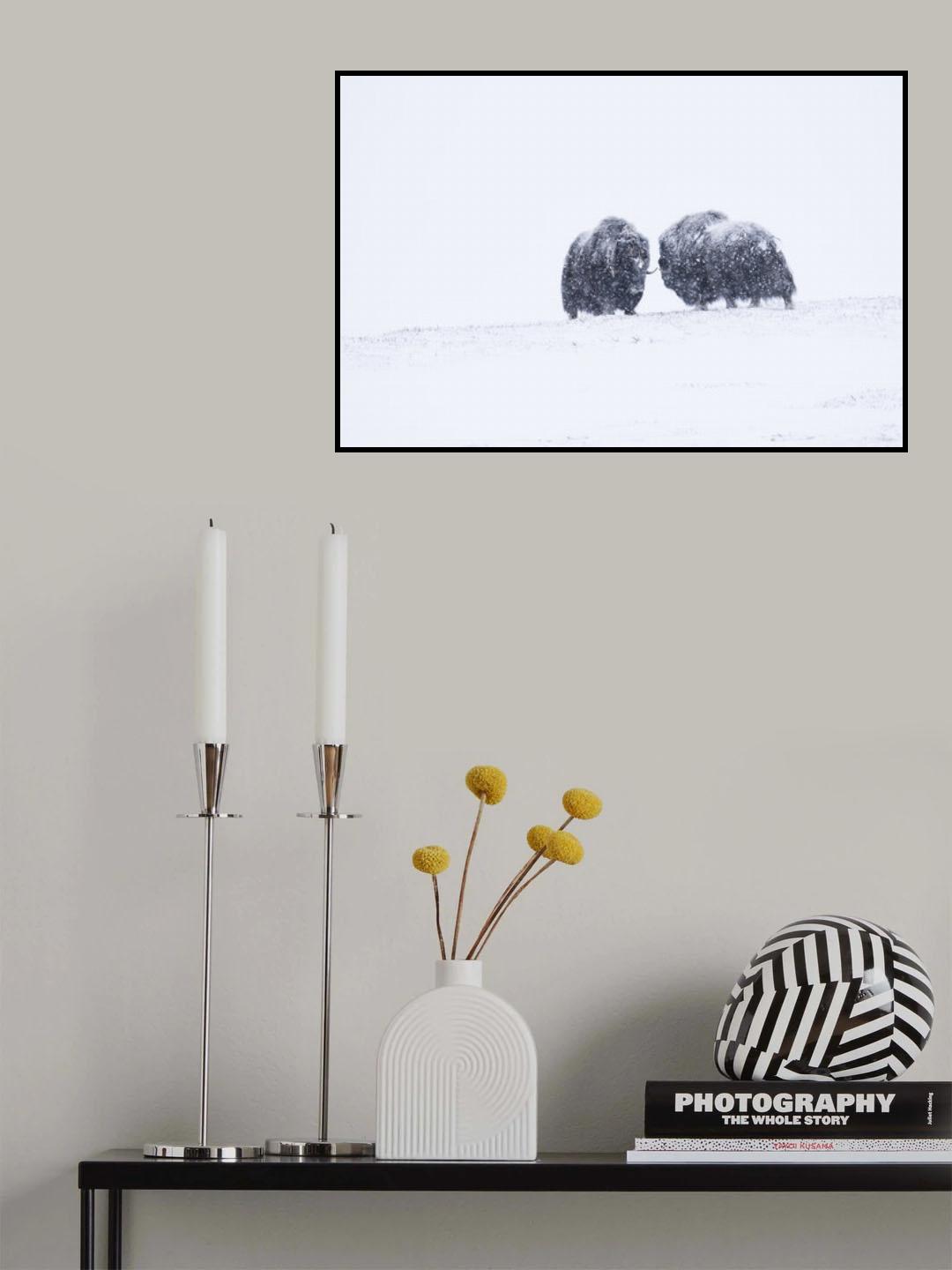 Winter Poster och Canvastavla