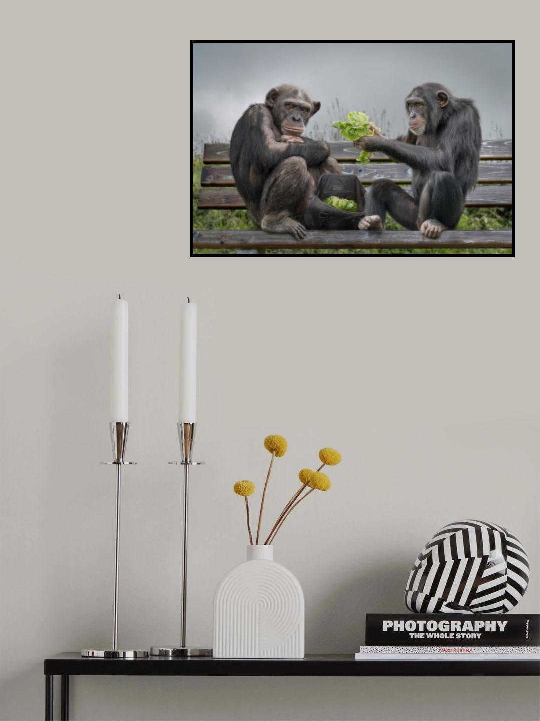 MonkeySalad Poster och Canvastavla