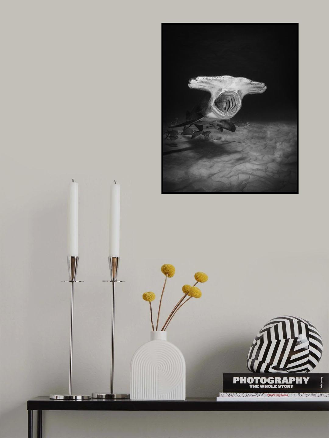 Shark's yawning Poster och Canvastavla
