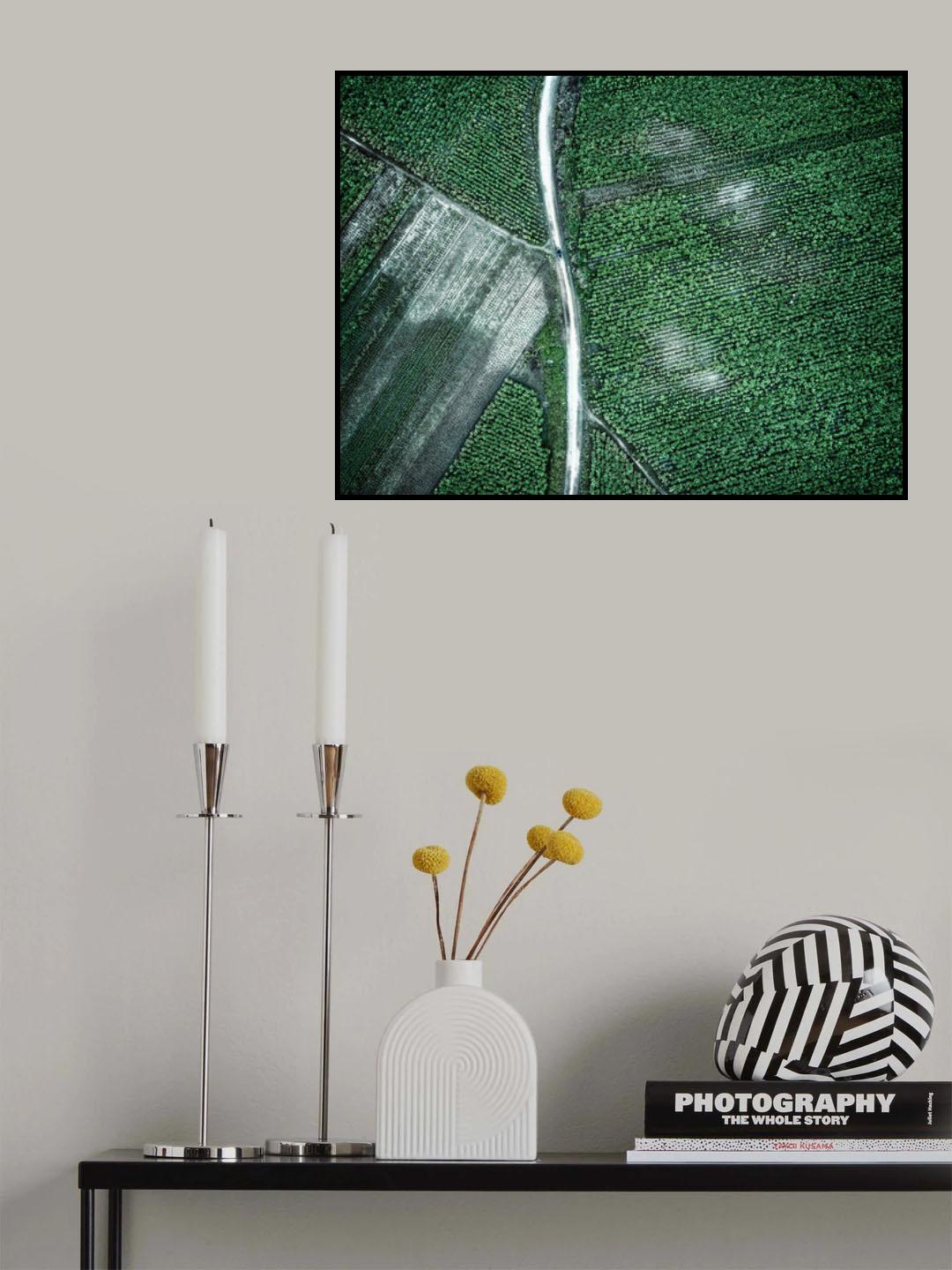 Pure green Poster och Canvastavla