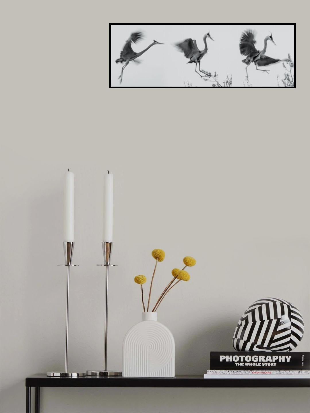 A graceful descent Poster och Canvastavla