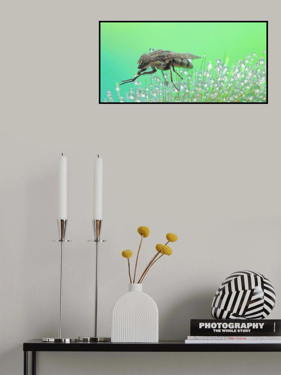 Walk in the morning dew... Poster och Canvastavla